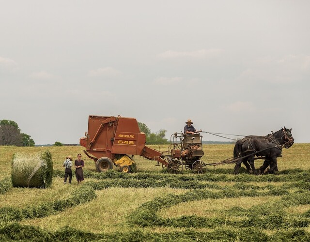 L'agriculture d'hier... à aujourd'hui